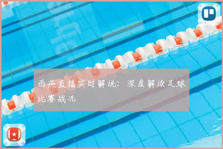 雨燕直播实时解说：深度解读足球比赛战况