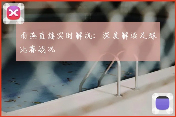 雨燕直播实时解说：深度解读足球比赛战况