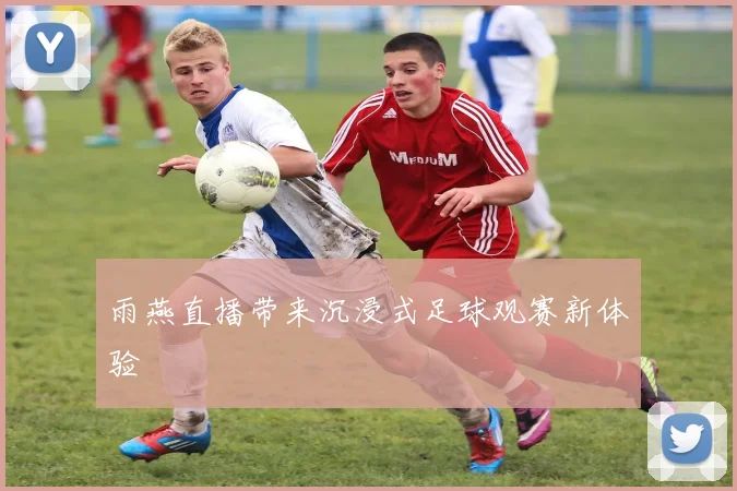 雨燕直播带来沉浸式足球观赛新体验