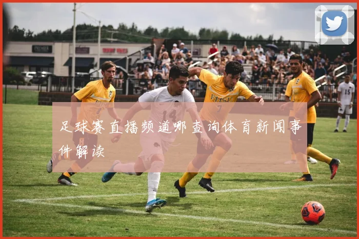 足球赛直播频道哪查询体育新闻事件解读