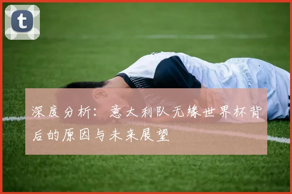 深度分析：意大利队无缘世界杯背后的原因与未来展望